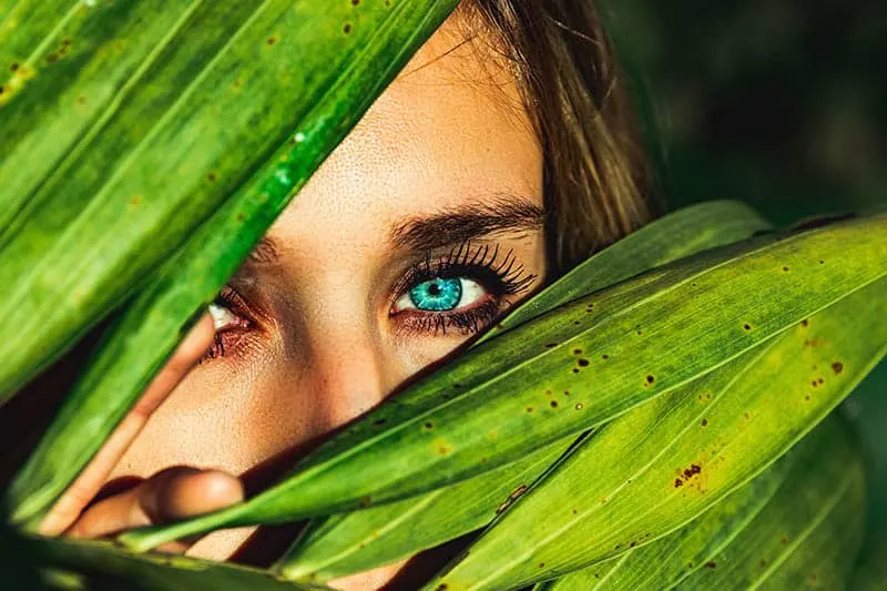 Blue eyed woman hiding behind leaves