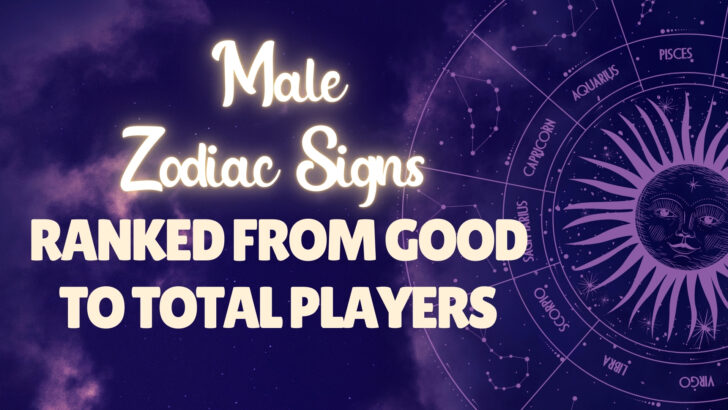 12 Male Zodiacs Ranked From Good To Total Players