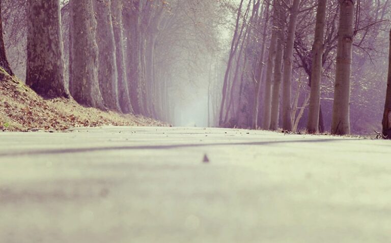 Find Out What Is Your Life Path Based On These 15 Questions