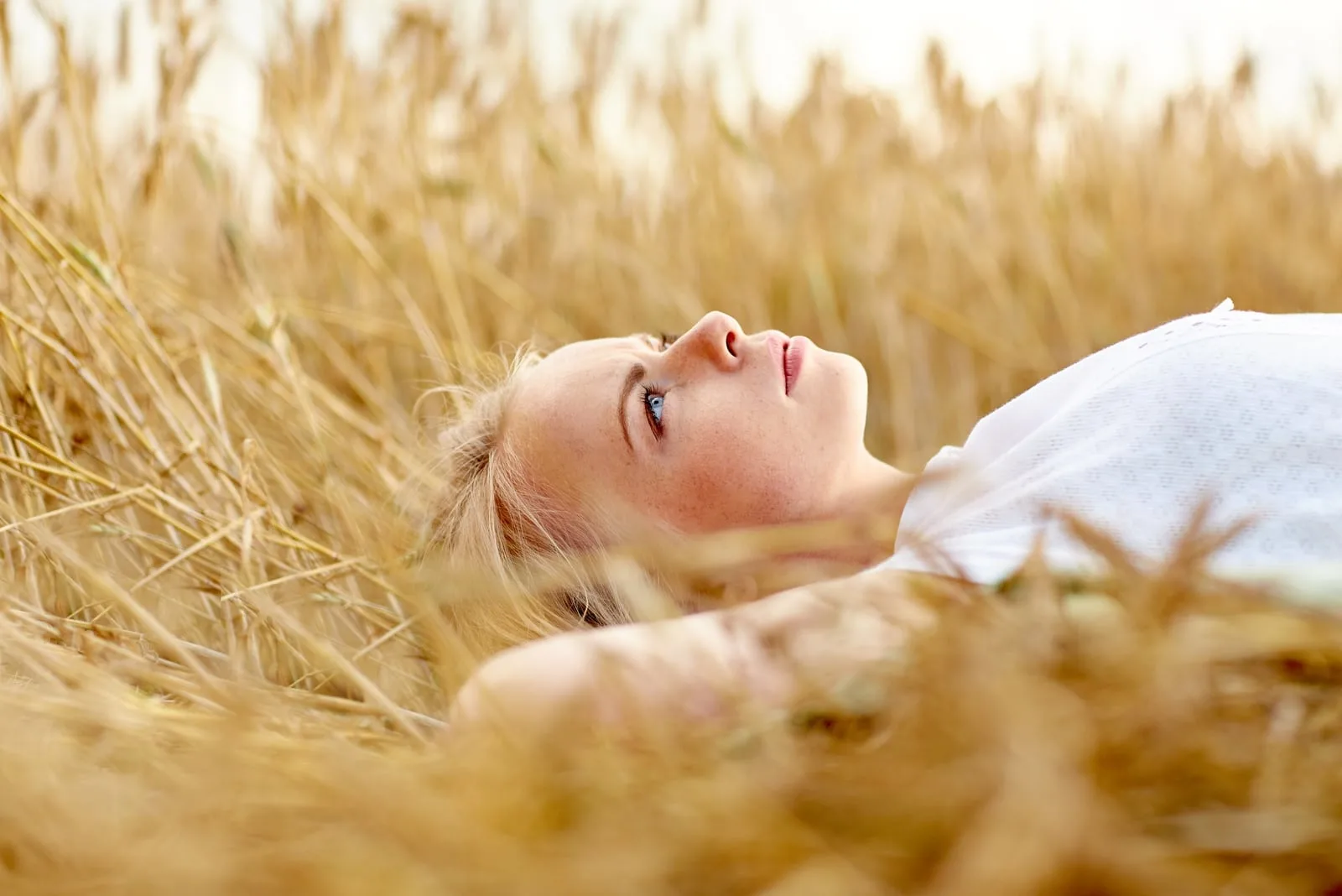 a serious blonde lies in a field of wheat