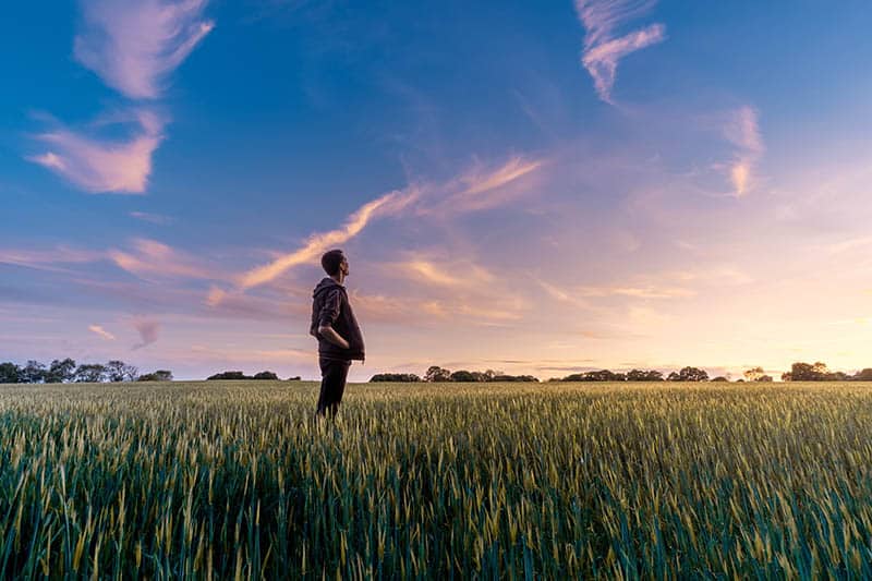 Man standing in country field looking at the sky