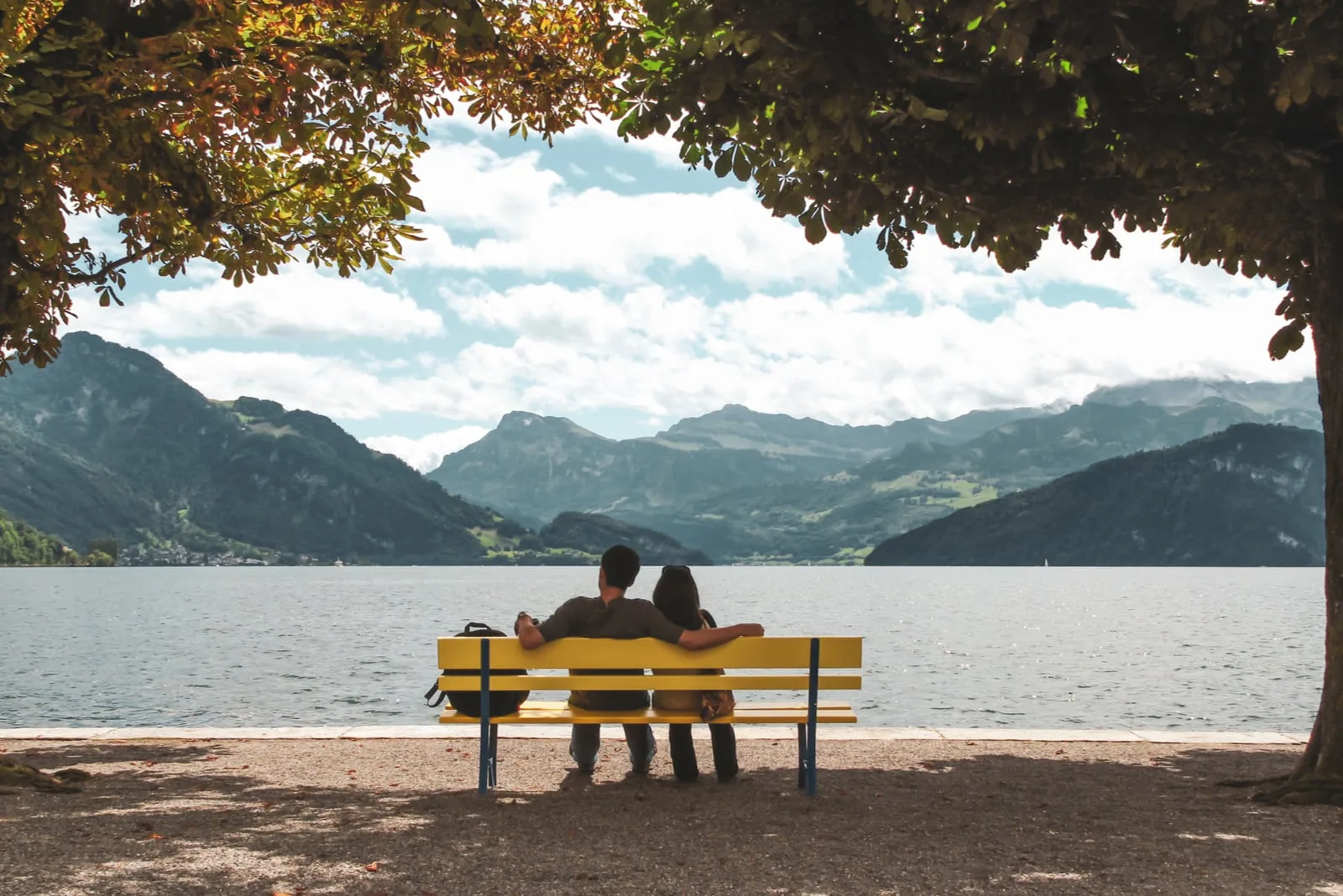 couple sitting on a bench in the shade of trees