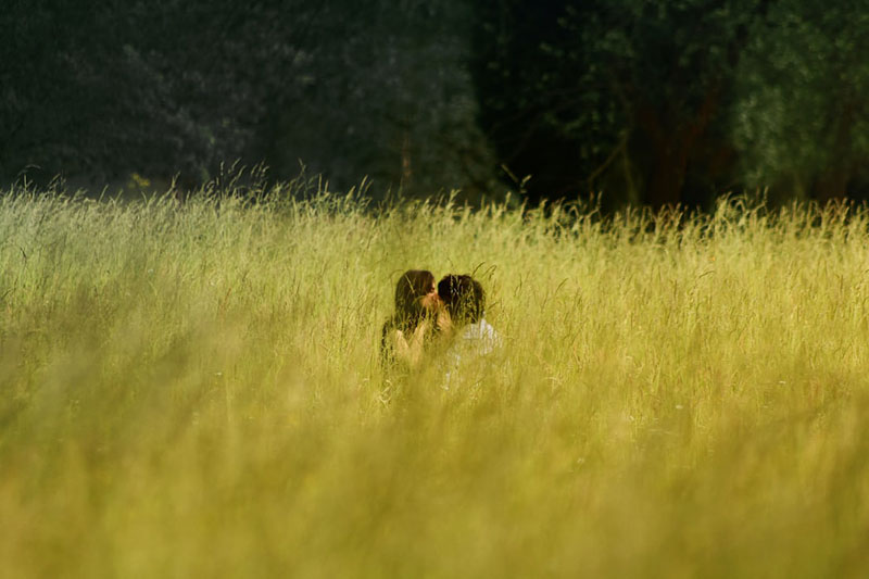 couple kissing in the field
