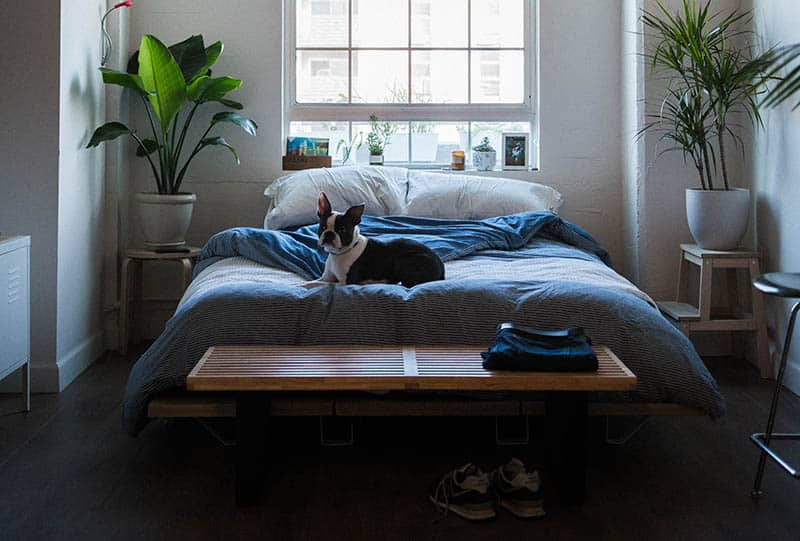 Bedtimestories Fairy Stories And Children Books This Night