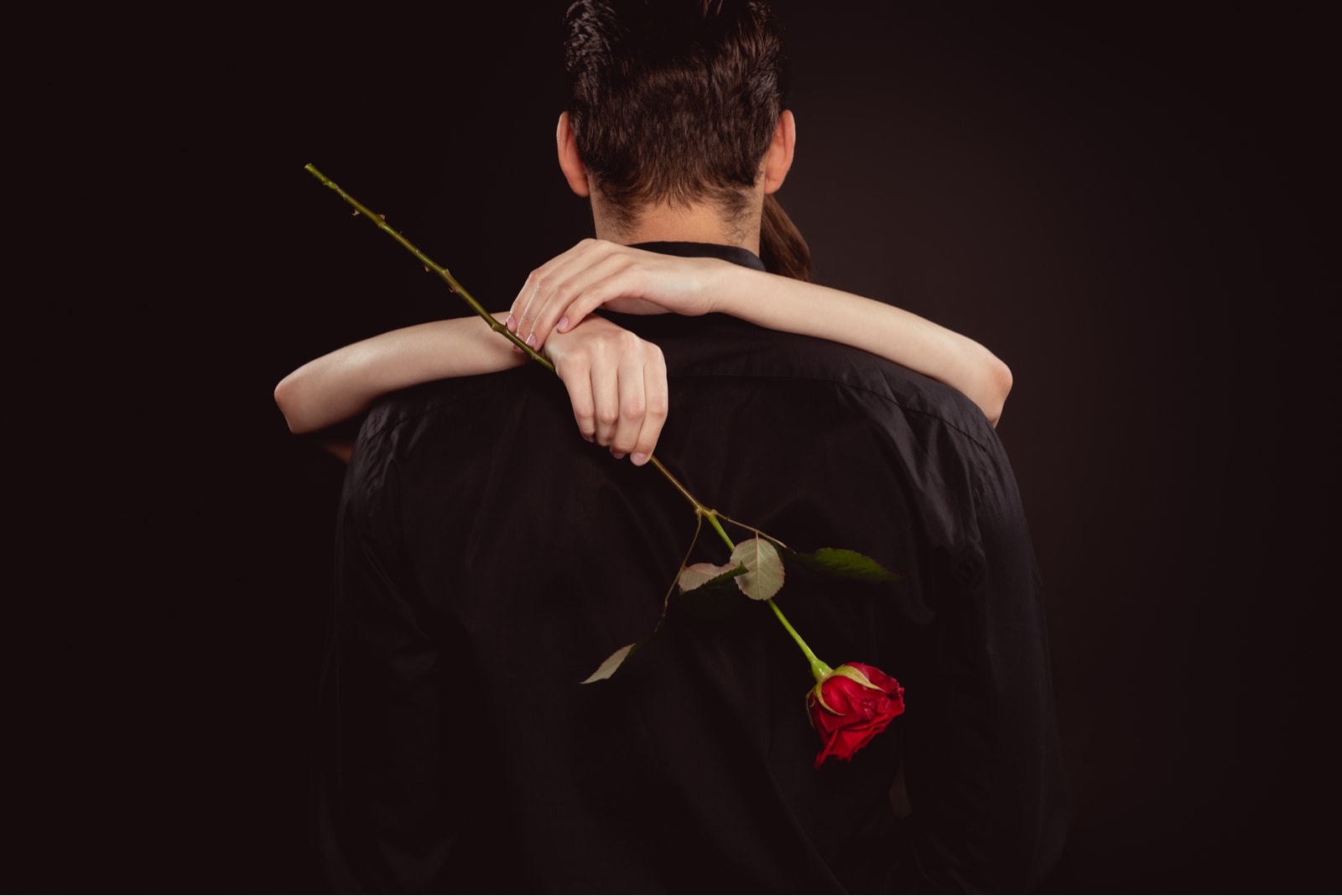 couple dark red rose