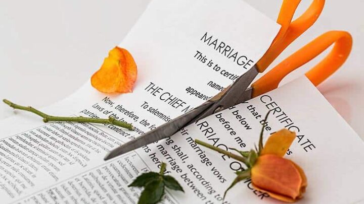 La distruzione del divorzio: Salire sopra le ceneri