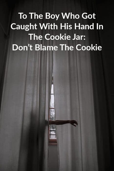 To The Boy Who Got Caught With His Hand In The Cookie Jar: Don’t Blame The Cookie