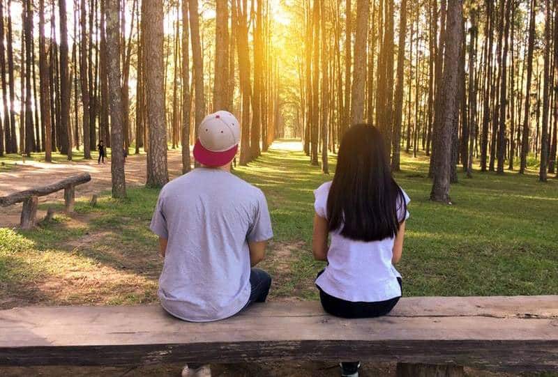 vista trasera de hombre y mujer sentados alrededor de árboles