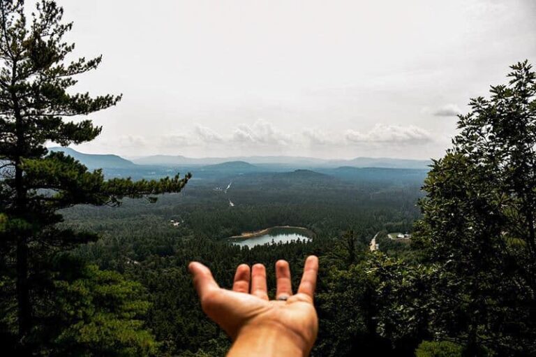 man's open palm in nature