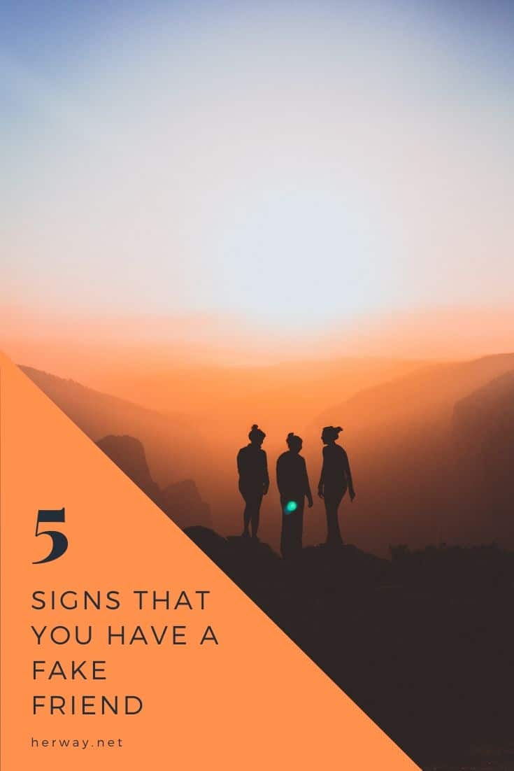 5 SIGNS THAT YOU HAVE A FAKE FRIEND