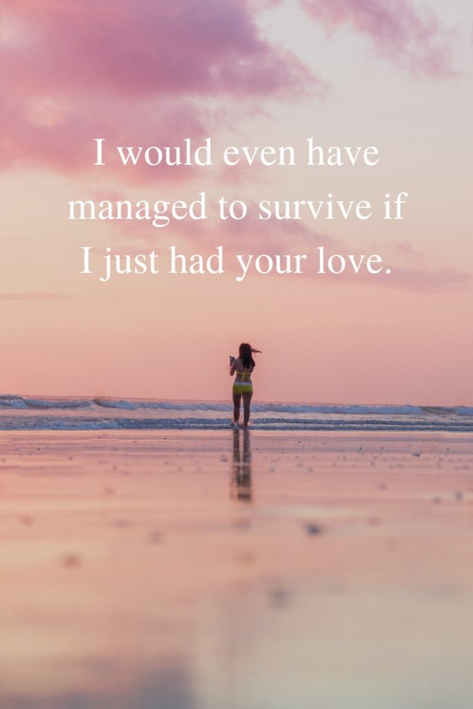 I would even have managed to survive if I just had your love.