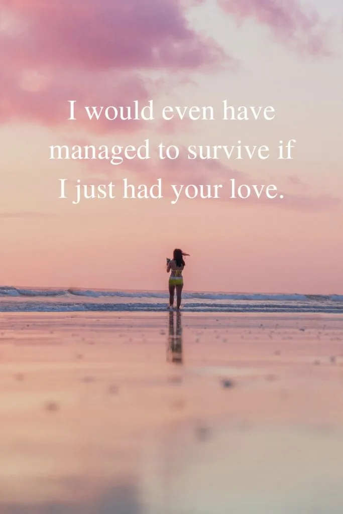 I would even have managed to survive if I just had your love.