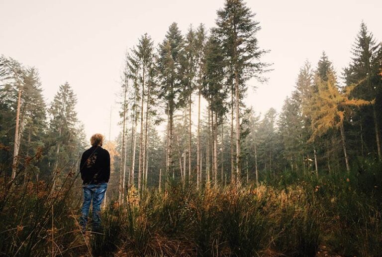 back view of man standing in nature