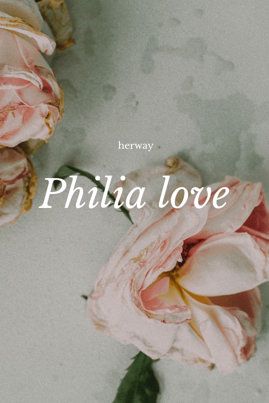 roses with text philia love