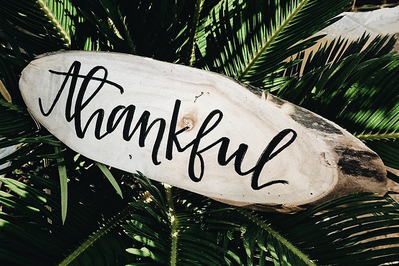 32 Things I Am Most Thankful For In Life