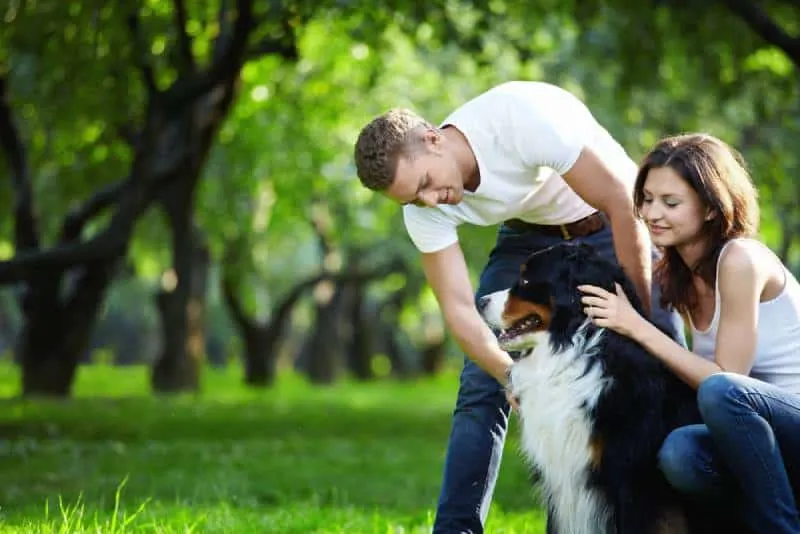 young couple walking dog in the park