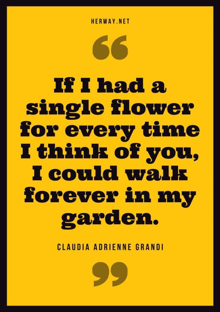  "Se eu tivesse uma única flor para cada vez que penso em ti, poderia andar para sempre no meu jardim." - Claudia Adrienne Grandi