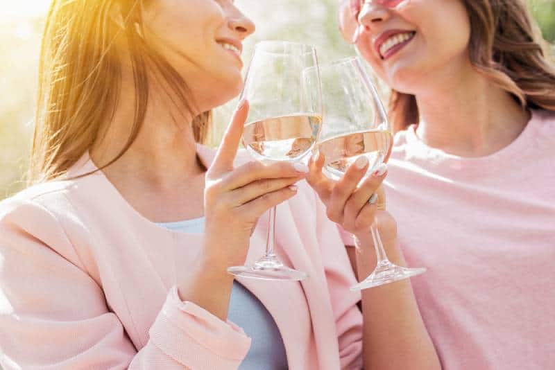 Close up of two happy women cheering with glasses of white wine and smiling while having a picnic