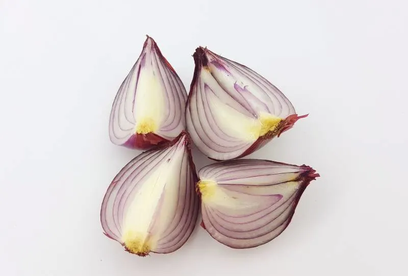 sliced red onion