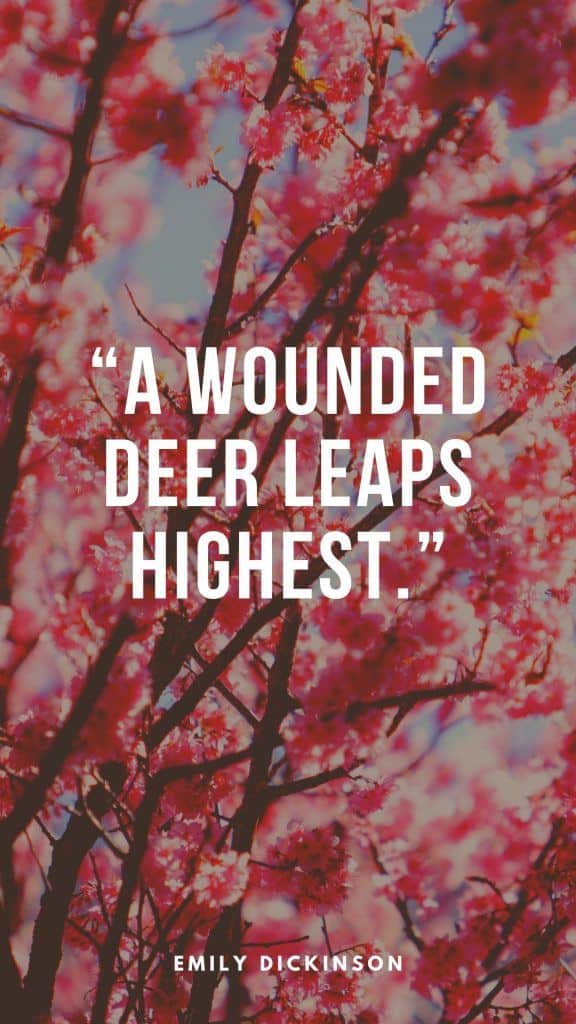 “A wounded deer leaps highest.” – Emily Dickinson