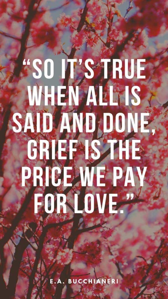 “So it’s true when all is said and done, grief is the price we pay for love.” - E.A. Bucchianeri