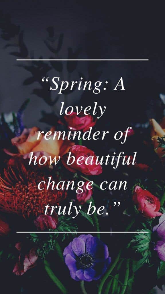 Primavera Un bel promemoria di quanto possa essere bello il cambiamento.