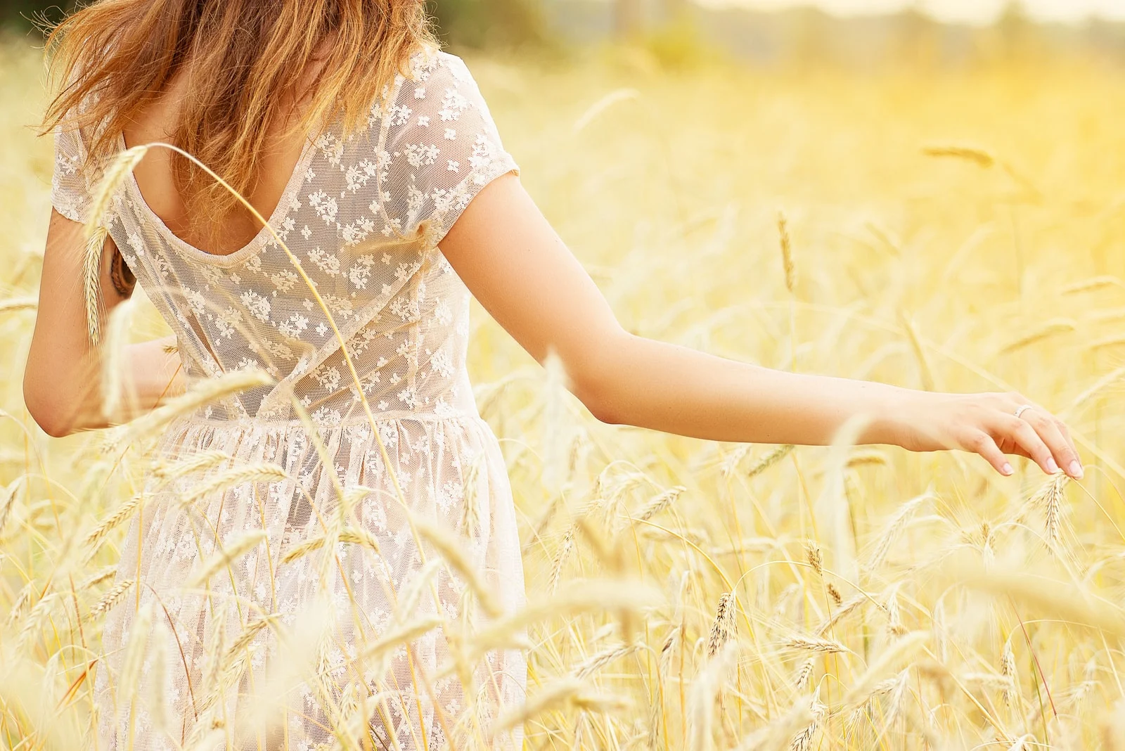 girl wearing white dress in a wheat field