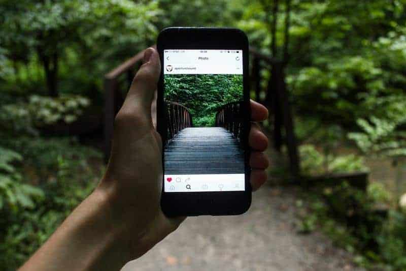 persona che tiene in mano uno smartphone in natura usando instagram