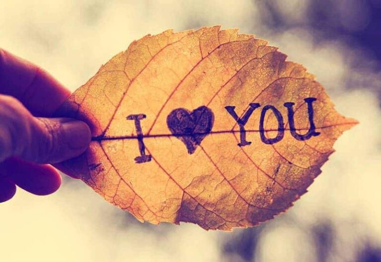 i love you sign on leaf