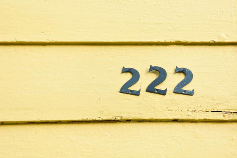 number 222 on wooden wall