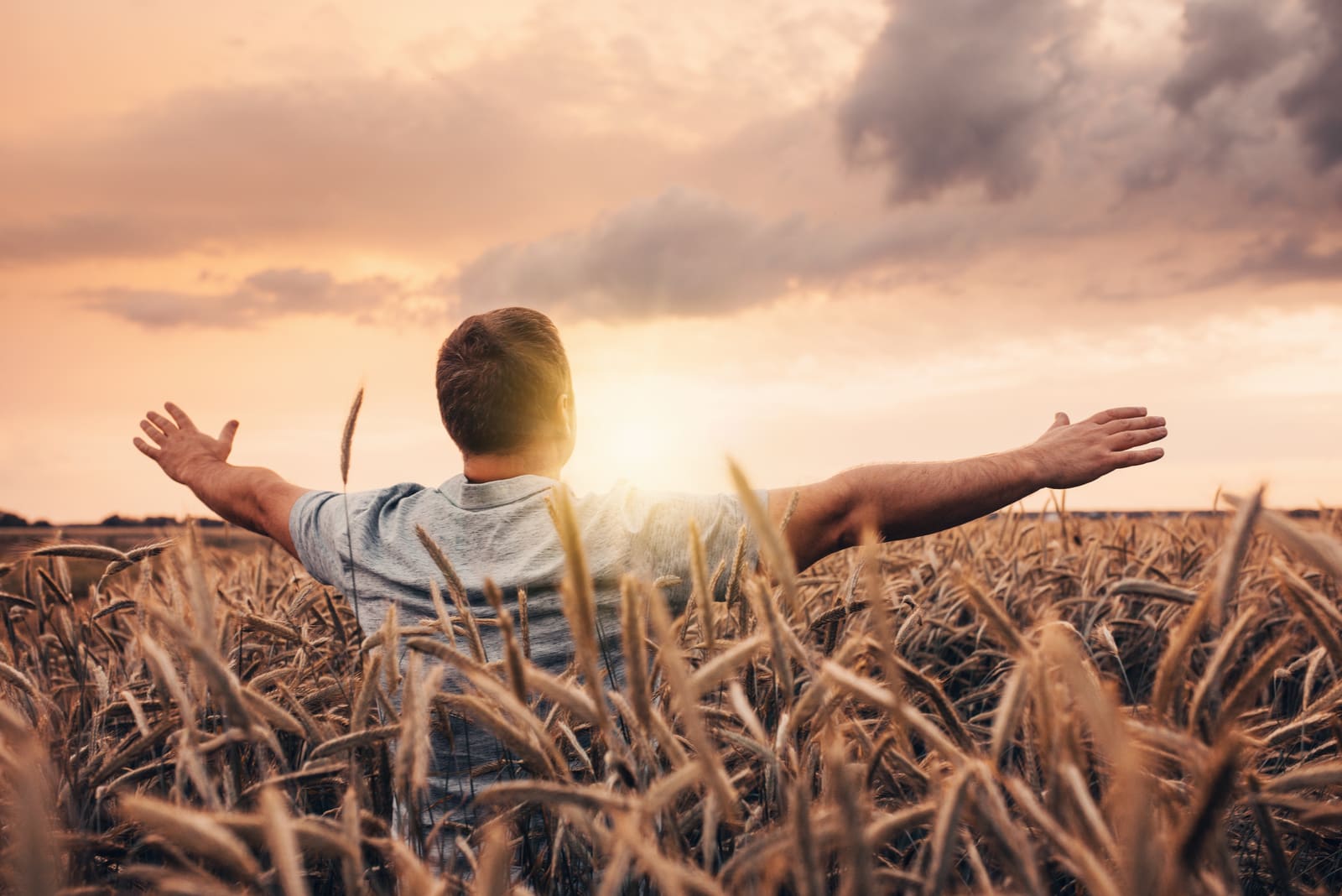 a man in a wheat field enjoys the sunset