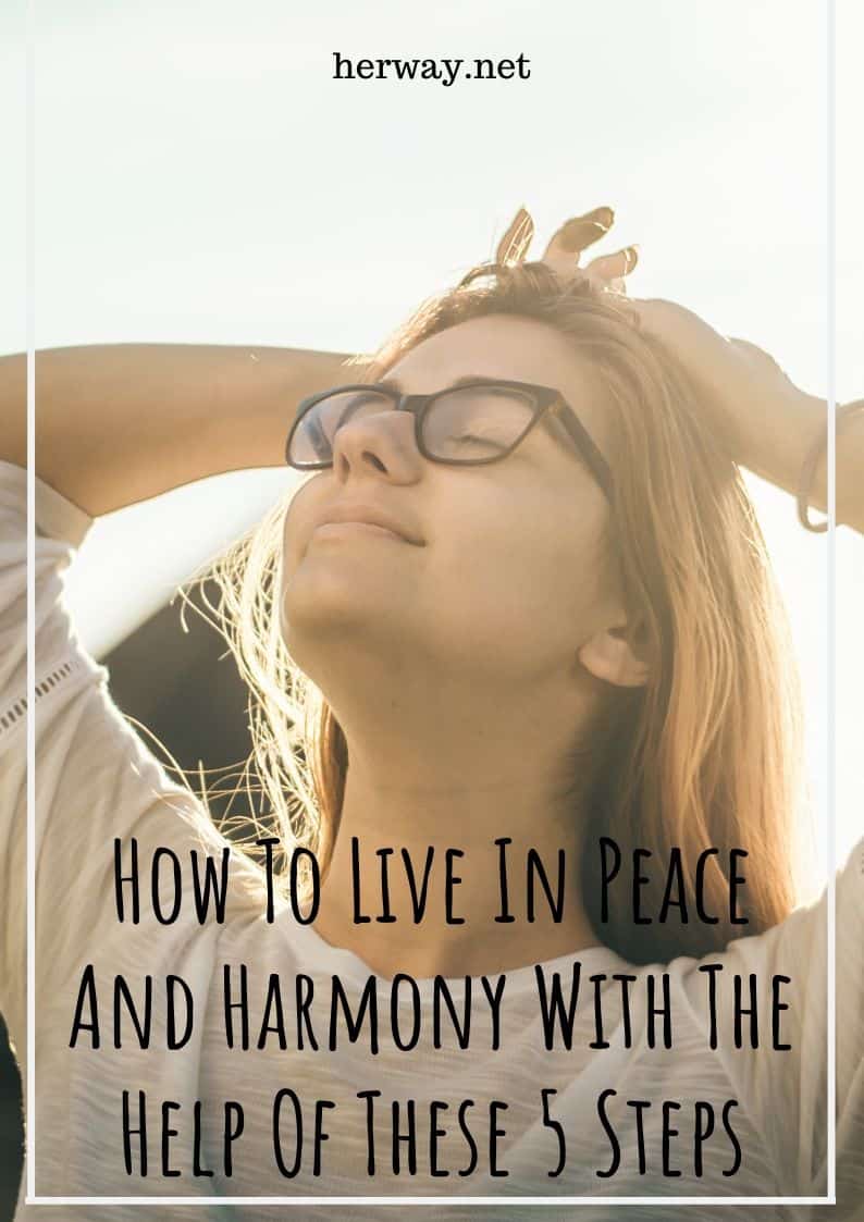 How To Live In Peace And Harmony With The Help Of These 5 Steps