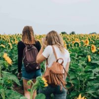 two friends walking in a sunflower field