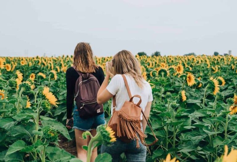 two friends walking in a sunflower field
