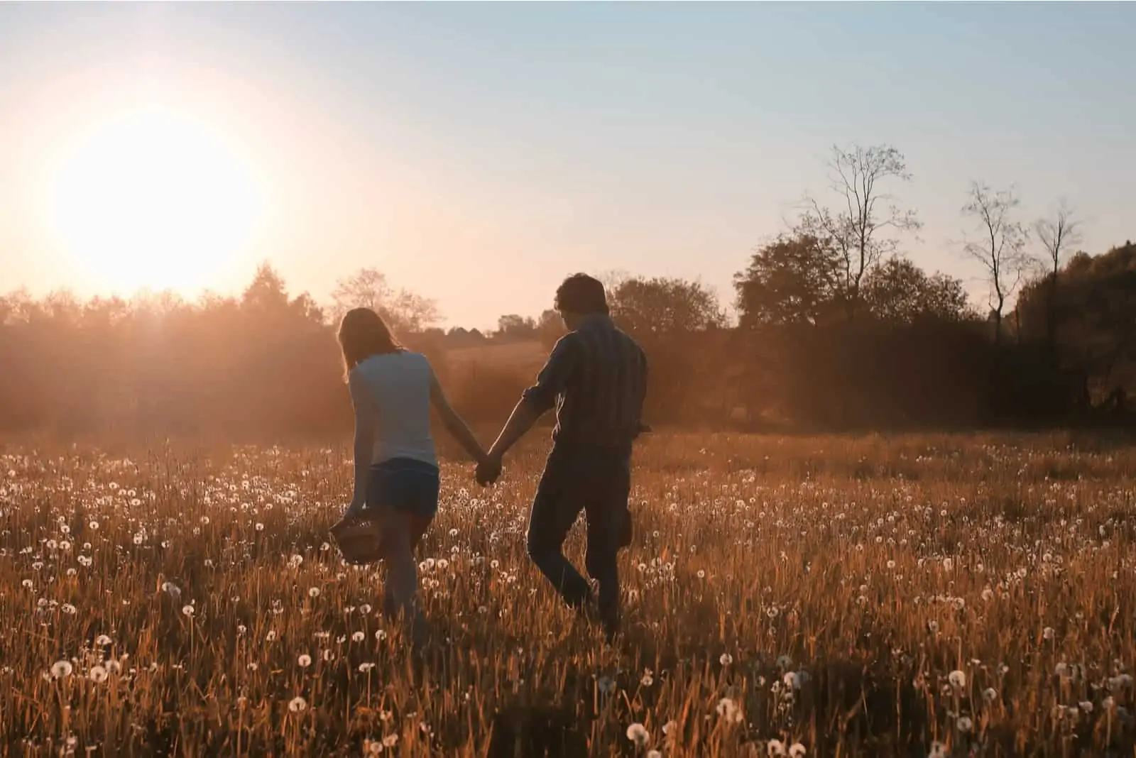 a loving couple walks through a dandelion field