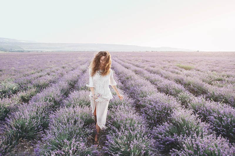 woman walking in lavender field
