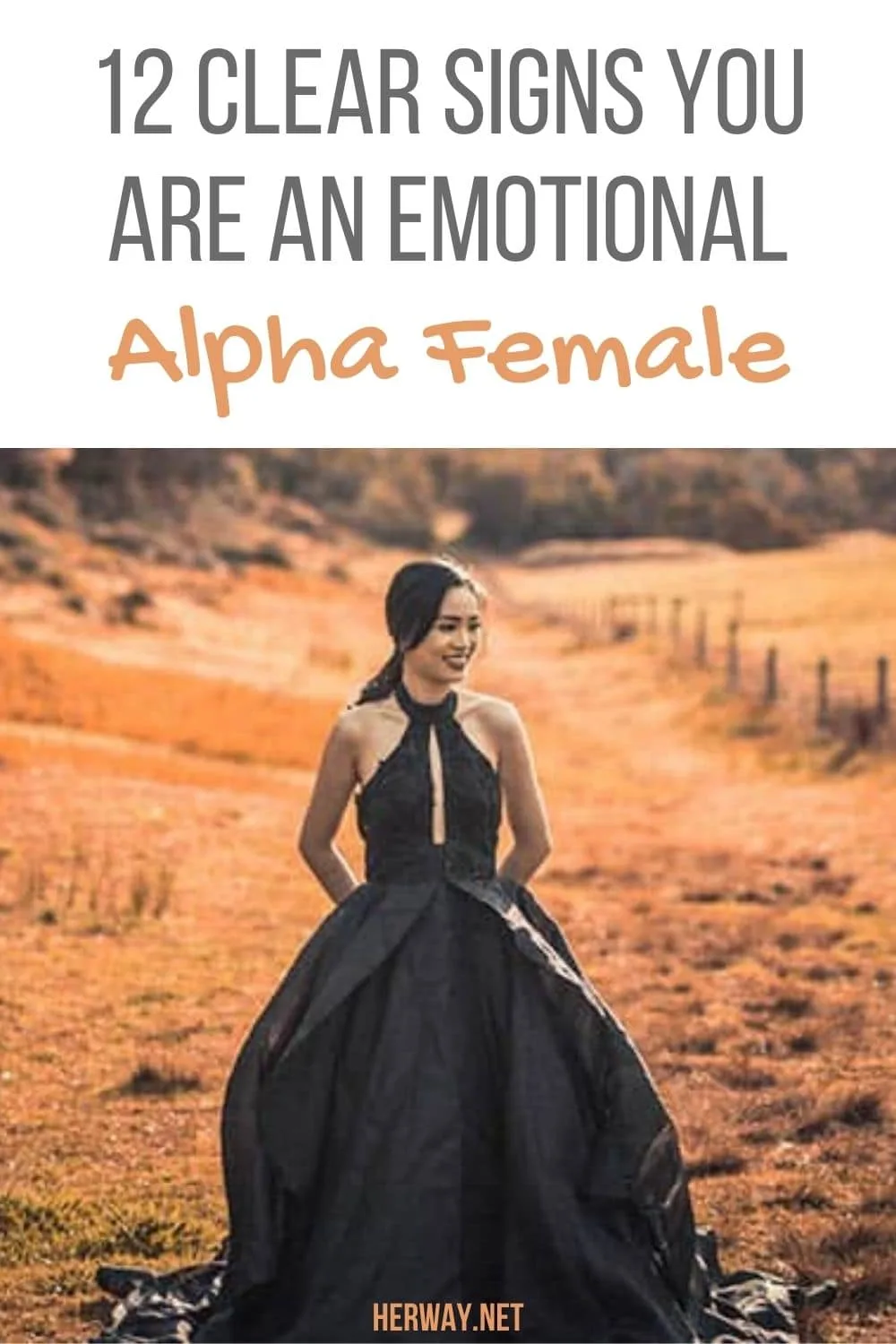 12 Clear Signs You Are An Emotional Alpha Female