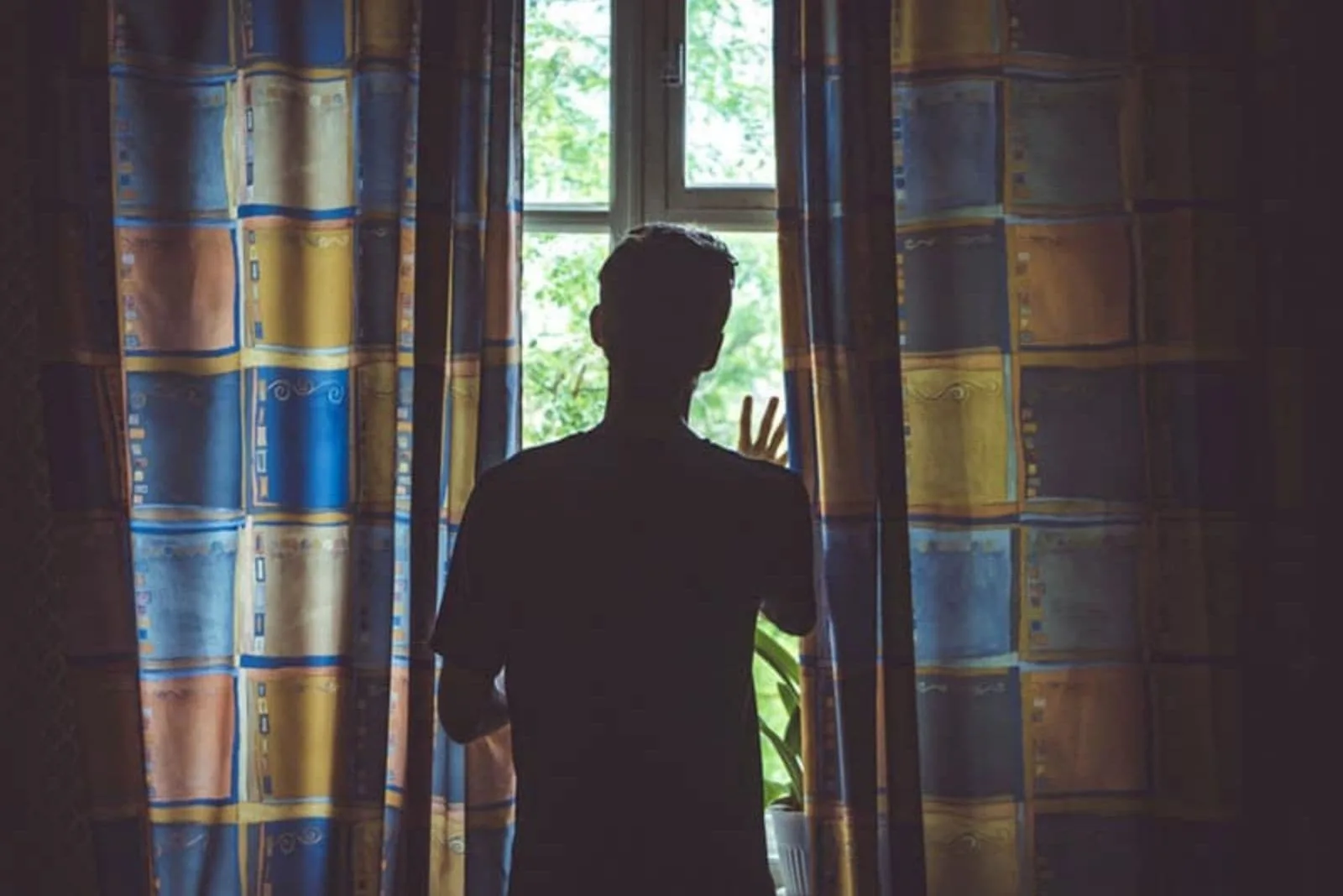 a man stands by the window