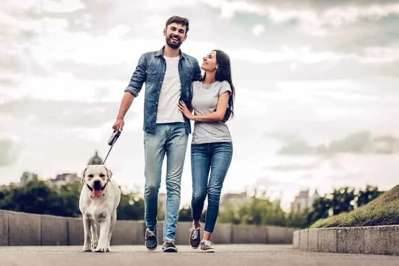 happy couple walking with dog