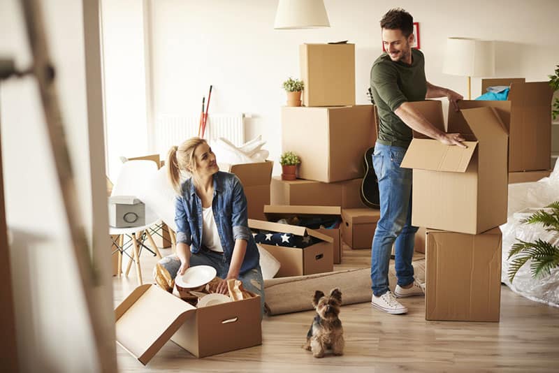 Pareja joven en apartamento nuevo con perro pequeño