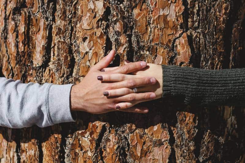 Uomo e donna che si tengono per mano intorno a un albero