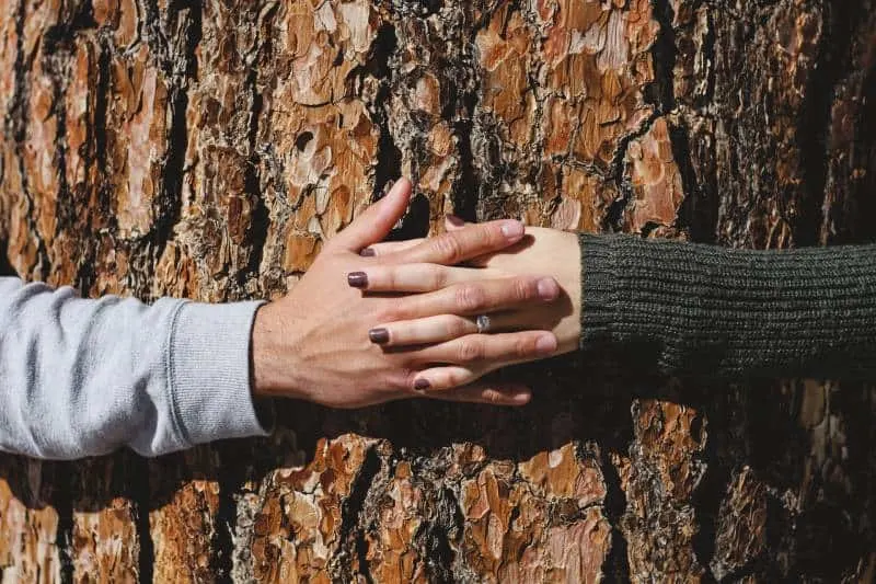 Man and woman hand holding hands around tree