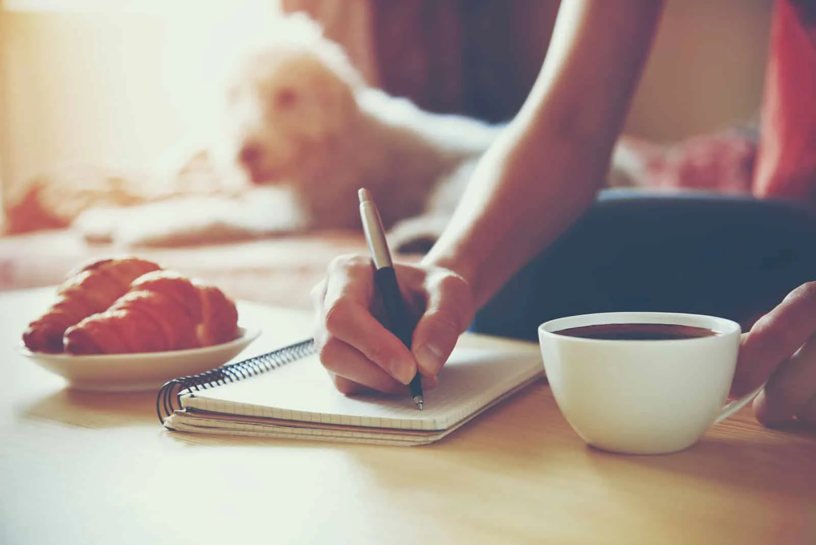 the woman sits drinking coffee and writing a letter