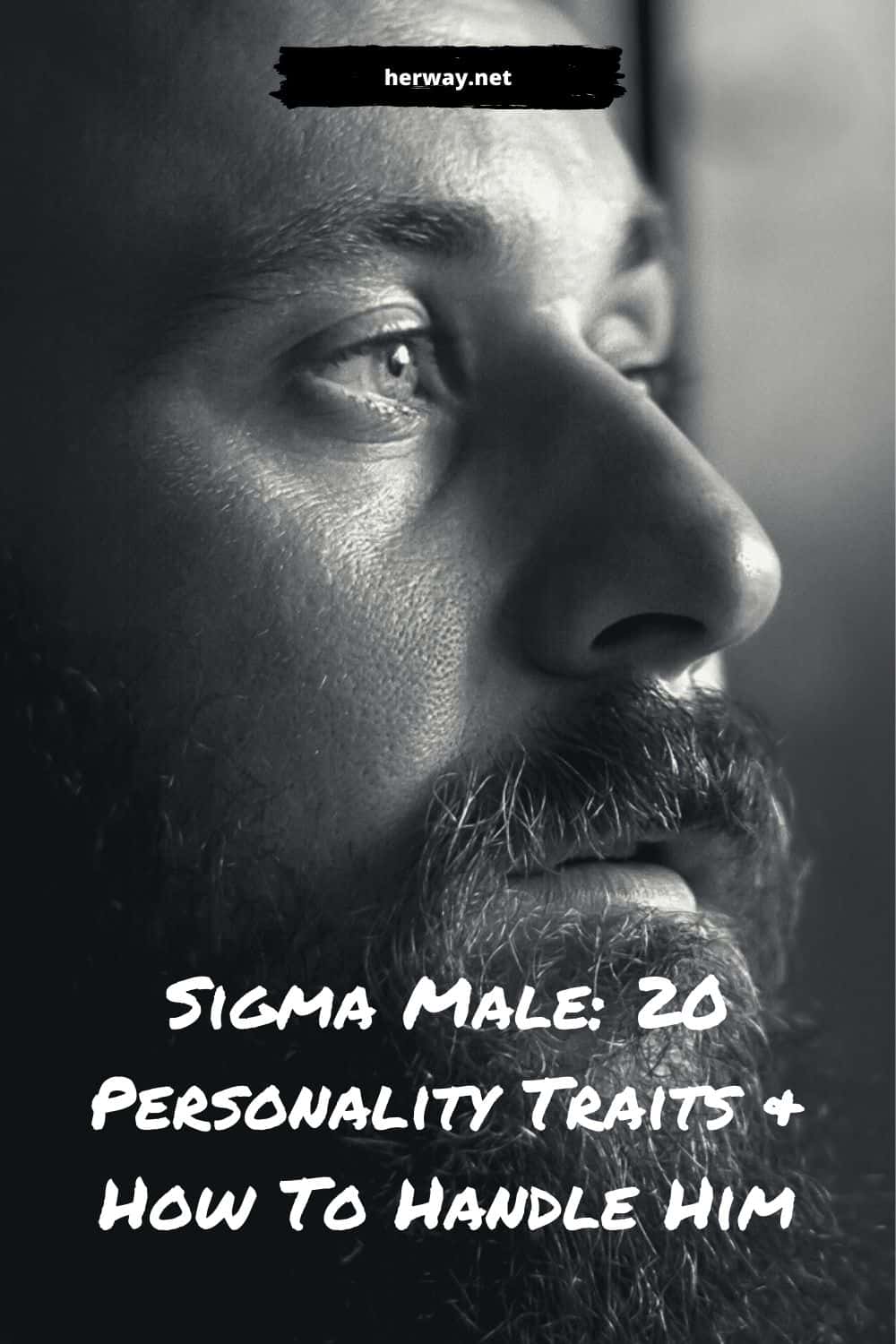 Sigma Male 20 Personality Traits & How To Handle Him