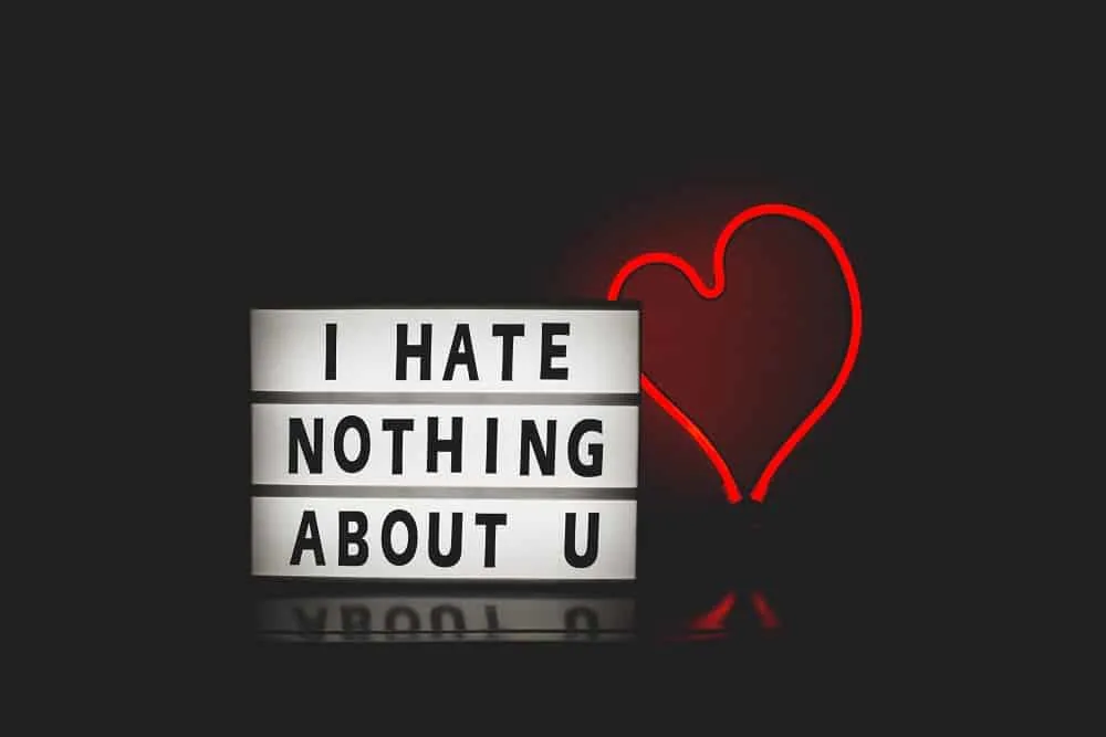 i hate nothing about you love quote with red heart