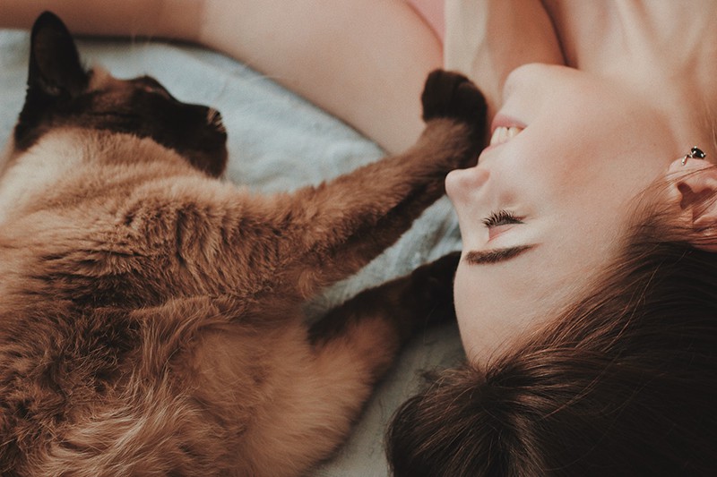 woman lying in the bed beside brown cat