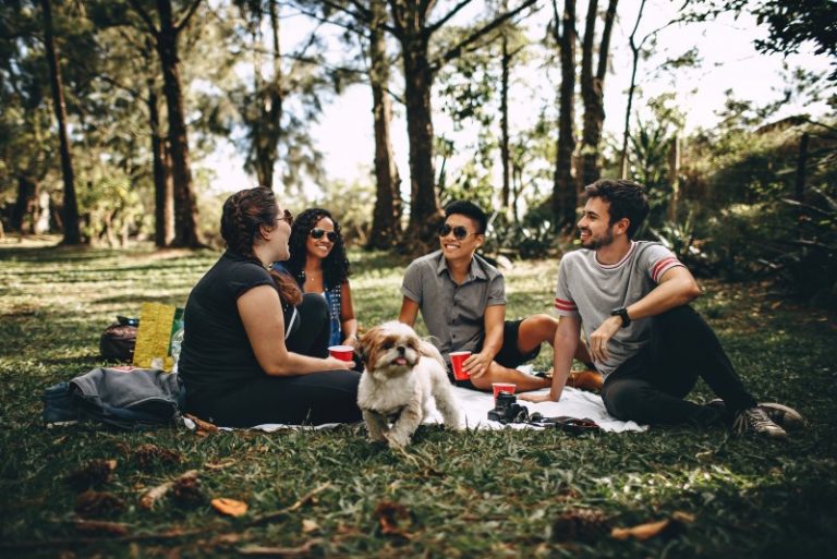 four people sitting on grass and talking