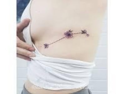 little Aries constellation with blossoms