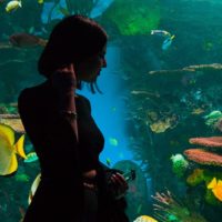 silhouette di donna in piedi vicino all'acquario
