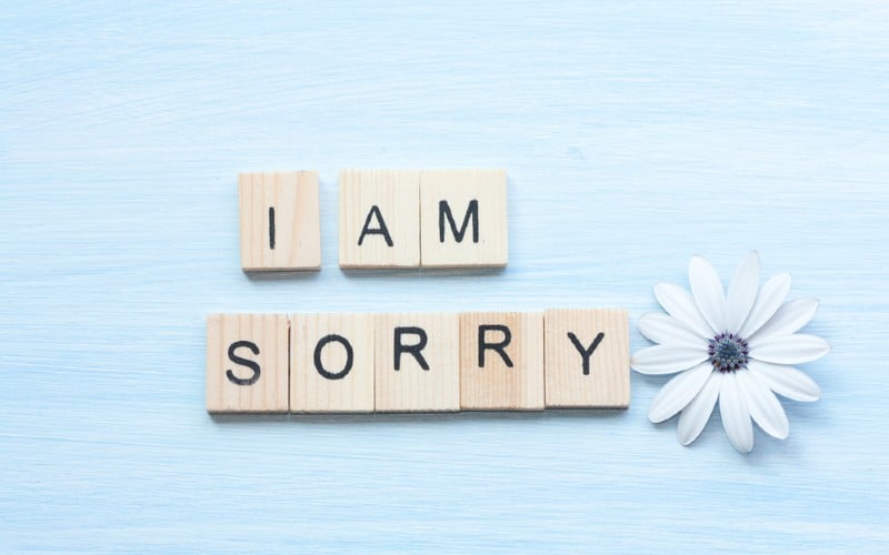 I am sorry text and blue flower on blue background